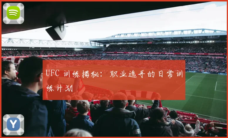 UFC 训练揭秘:职业选手的日常训练计划